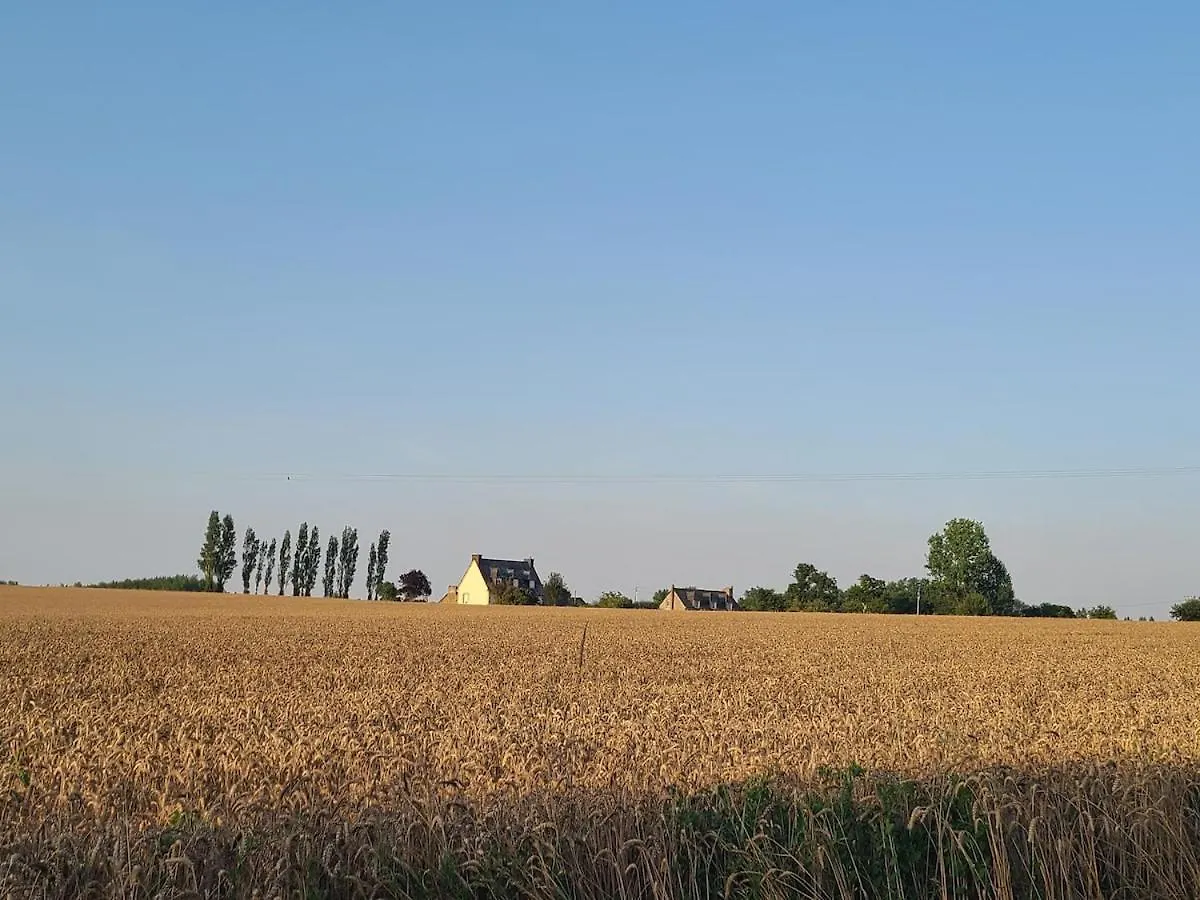Maison De Campagne A 12 Min De La Premiere Plage Pluduno 別荘